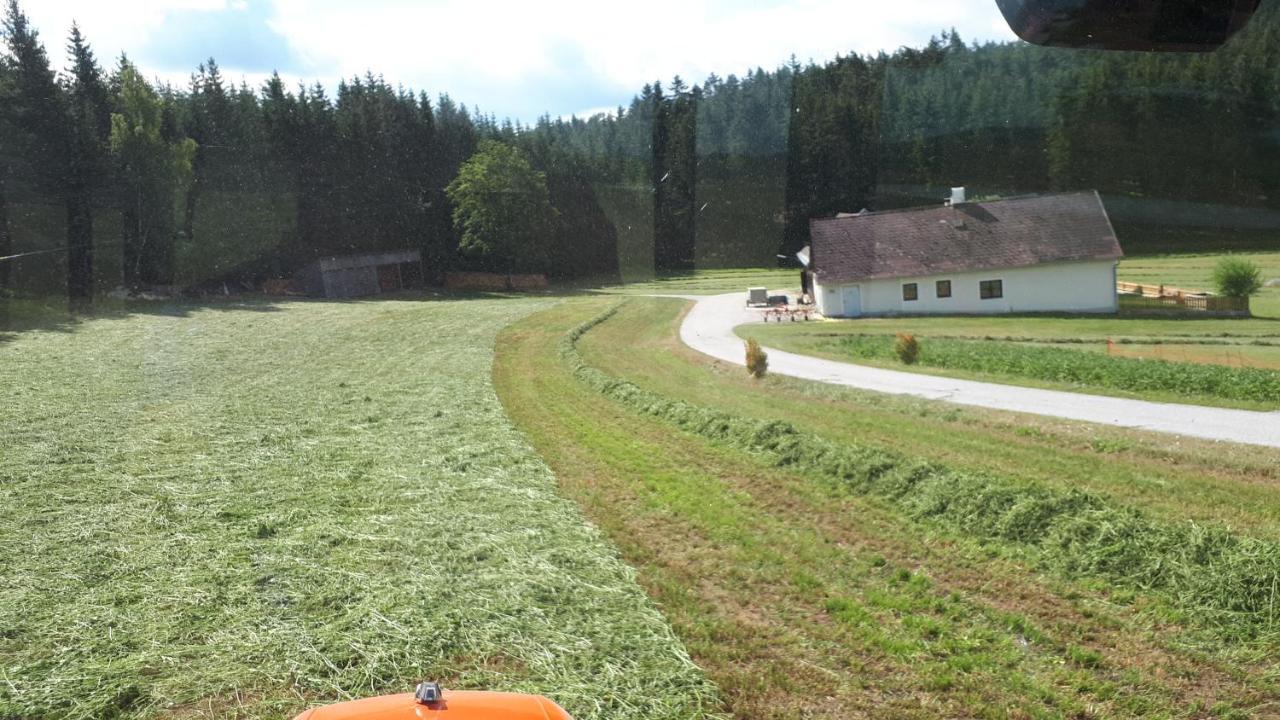 Ferienhaus Buxbaum Arbesbach Екстер'єр фото